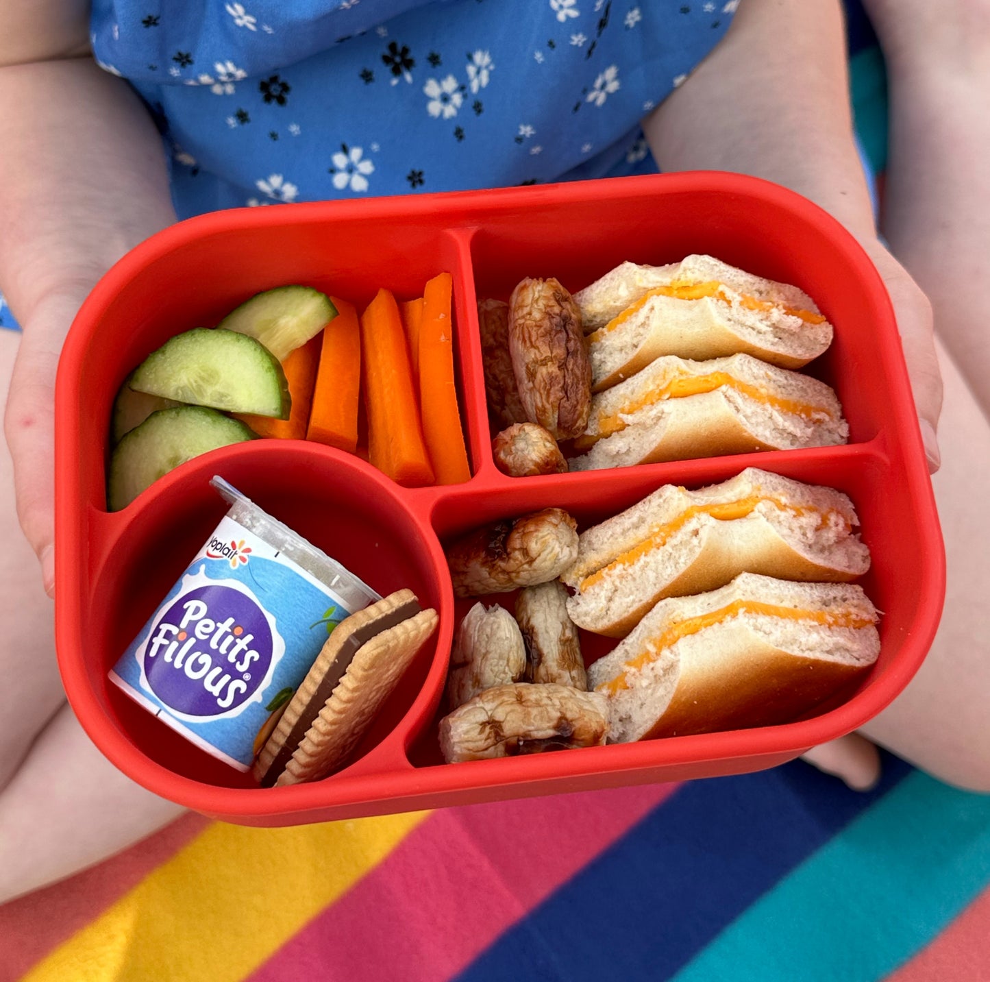 Cutie pentru Pick Box - Bento (în diverse culori)
