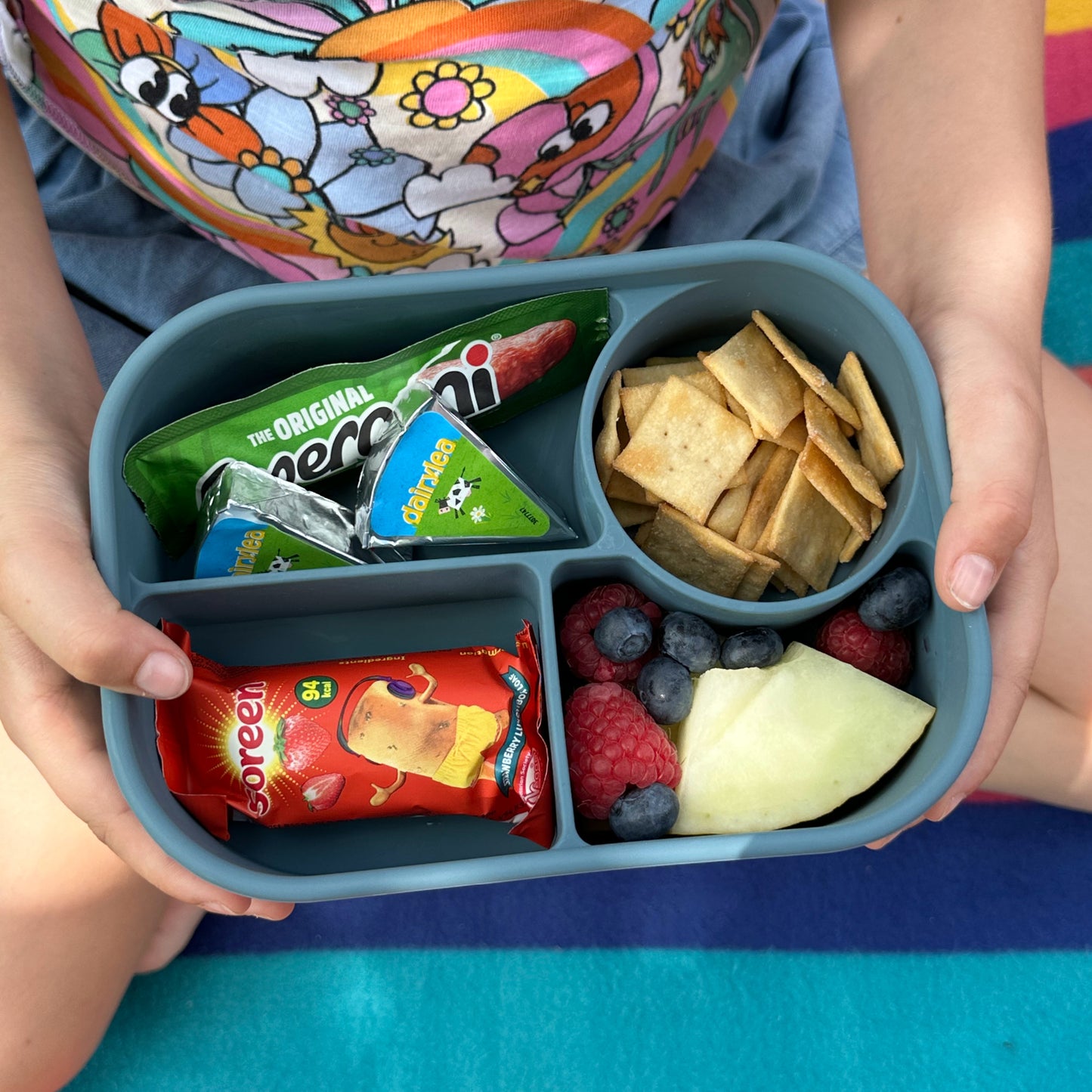 Cutie pentru Pick Box - Bento (în diverse culori)