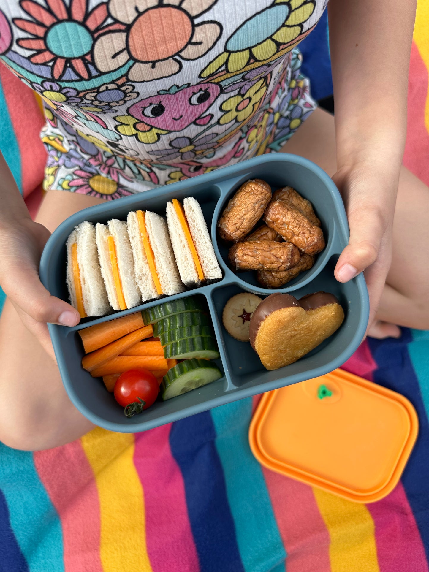 Cutie pentru Pick Box - Bento (în diverse culori)