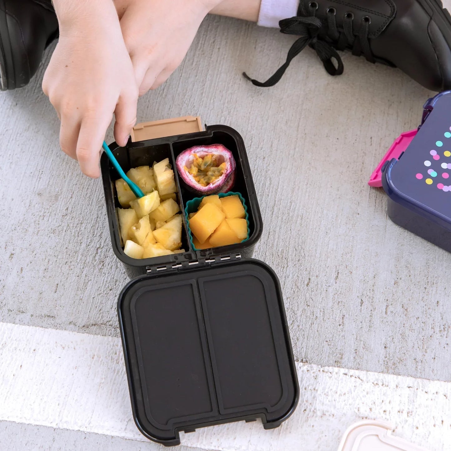 Bento Two - Dinosaur Land