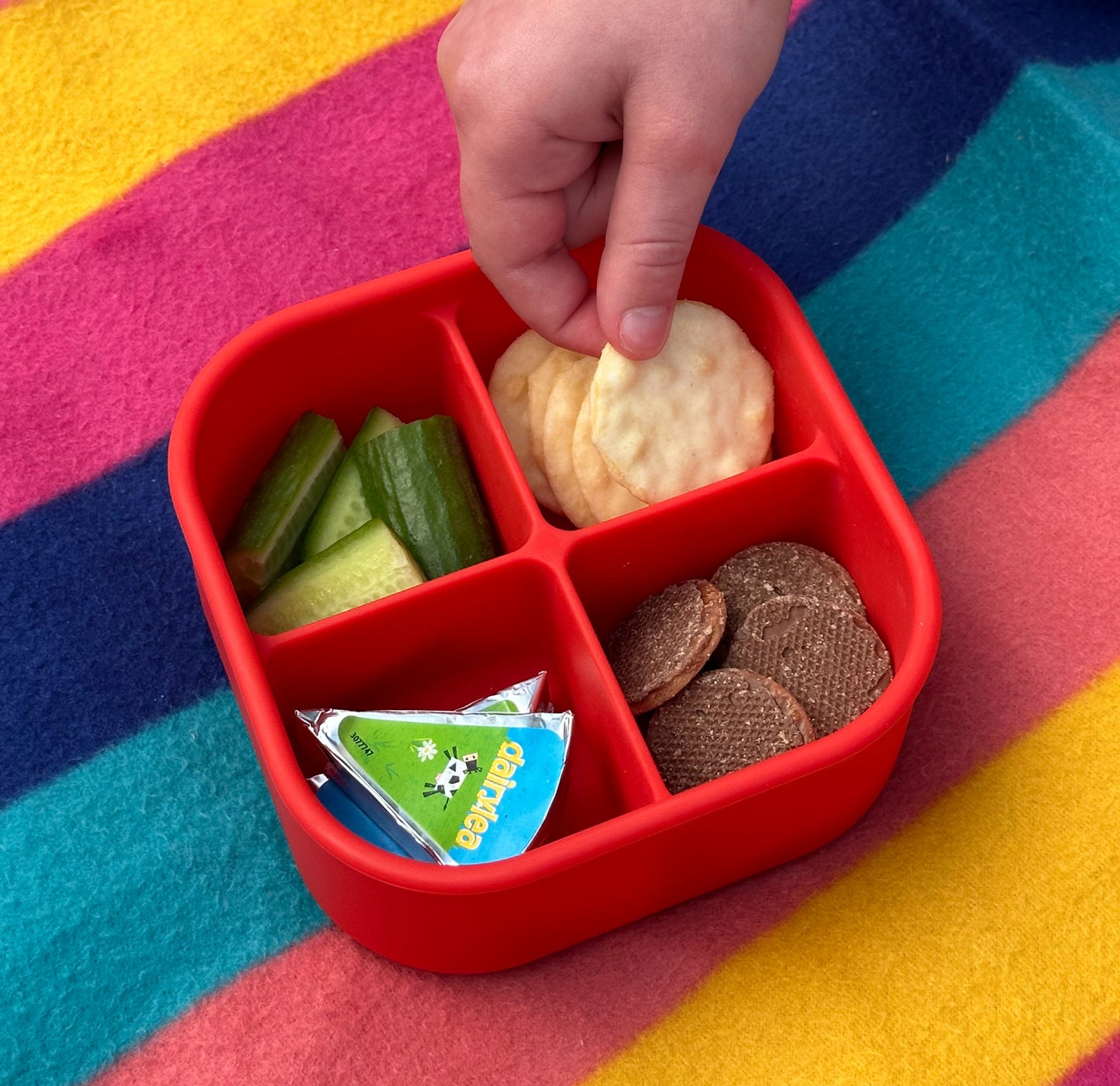 Cutie pentru Pick Box - Snack (în diverse culori)