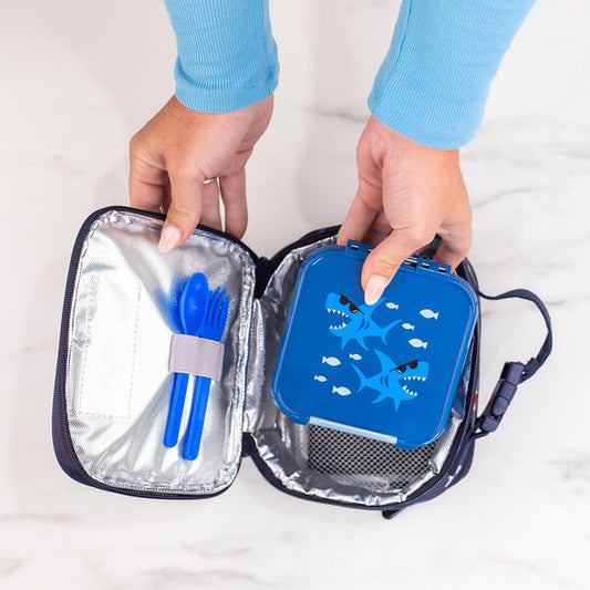 MontiiCo S - curcubeu