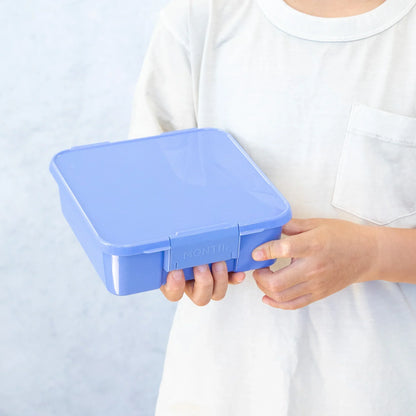 Bento Five - Splash