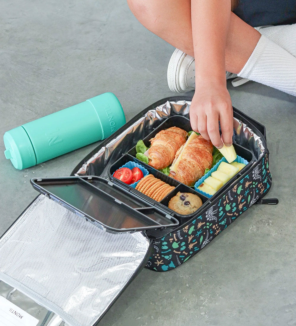 MontiiCo L - Dinosaur Land