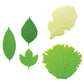 Set separator din silicon (5 buc.) - Frunze de salată verde și salată verde