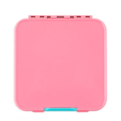 Bento Five - Strawberry