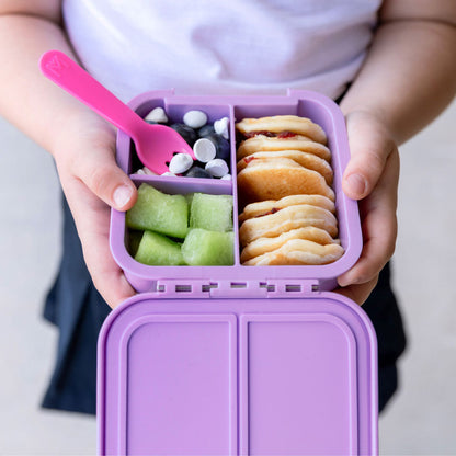 Bento Two - Rainbow Roller