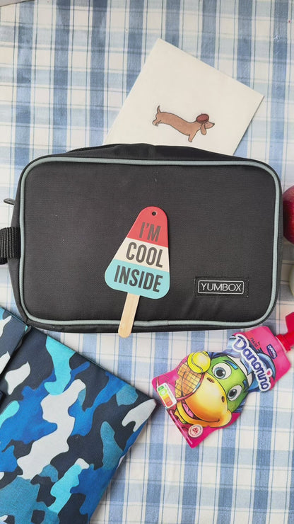 Yumbox Chill Bag (diverse culori)